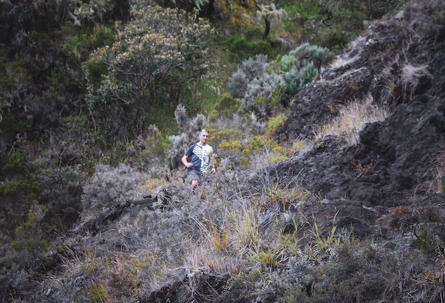 Loïc trail